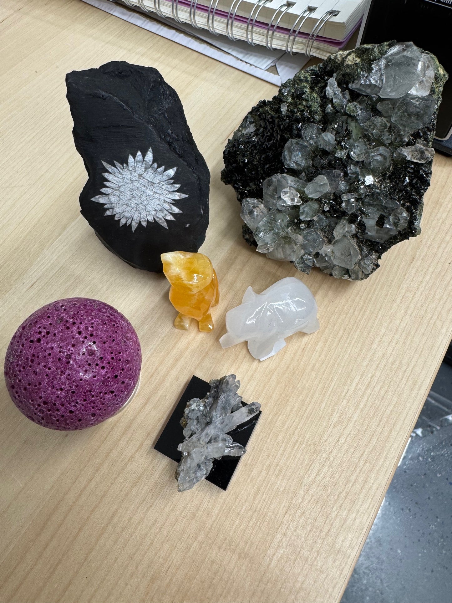 reneetoday333