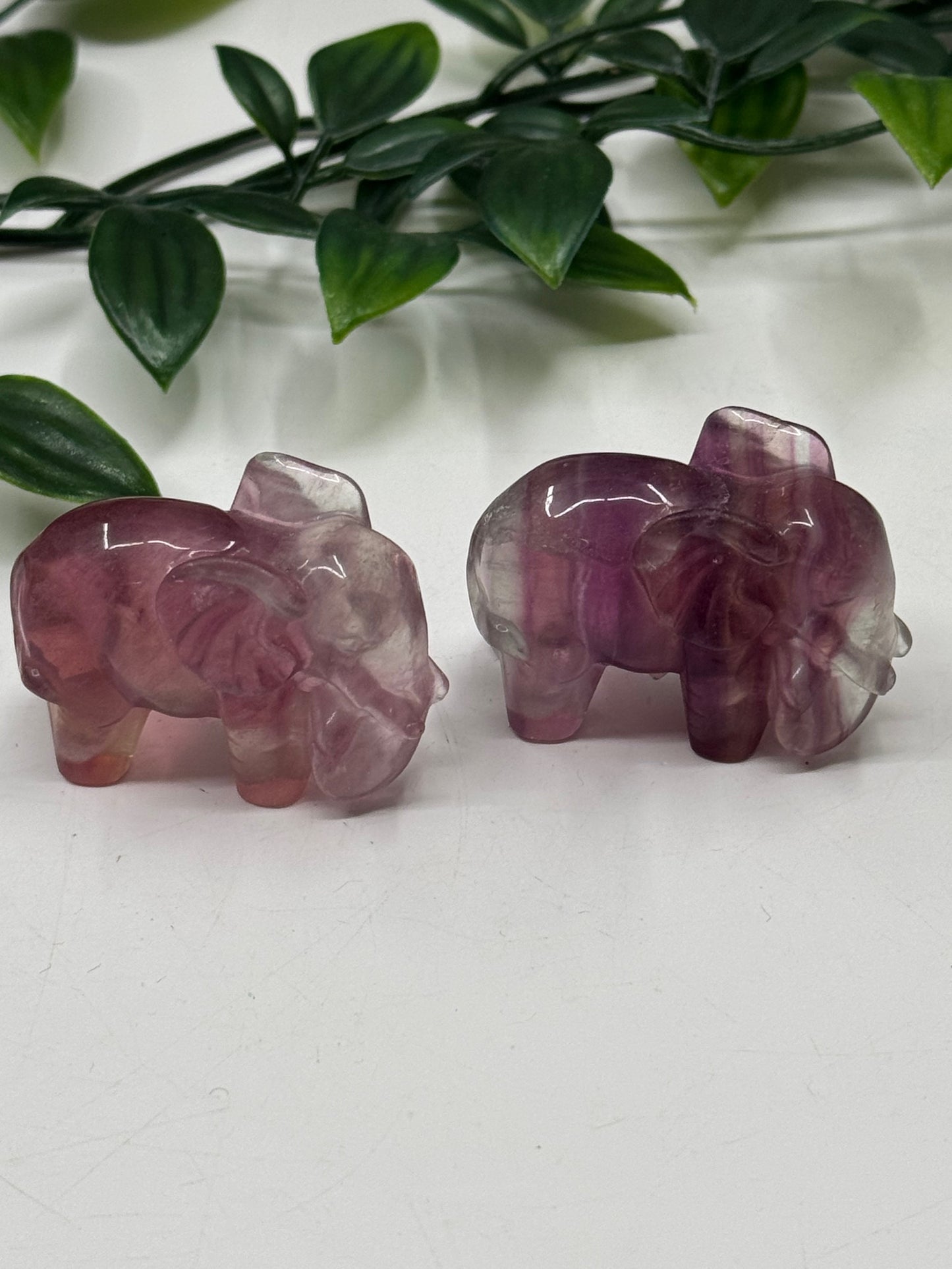 Fluorite Elephants