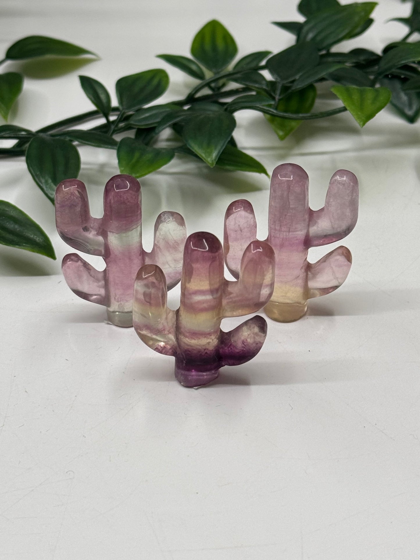 Fluorite Cactus