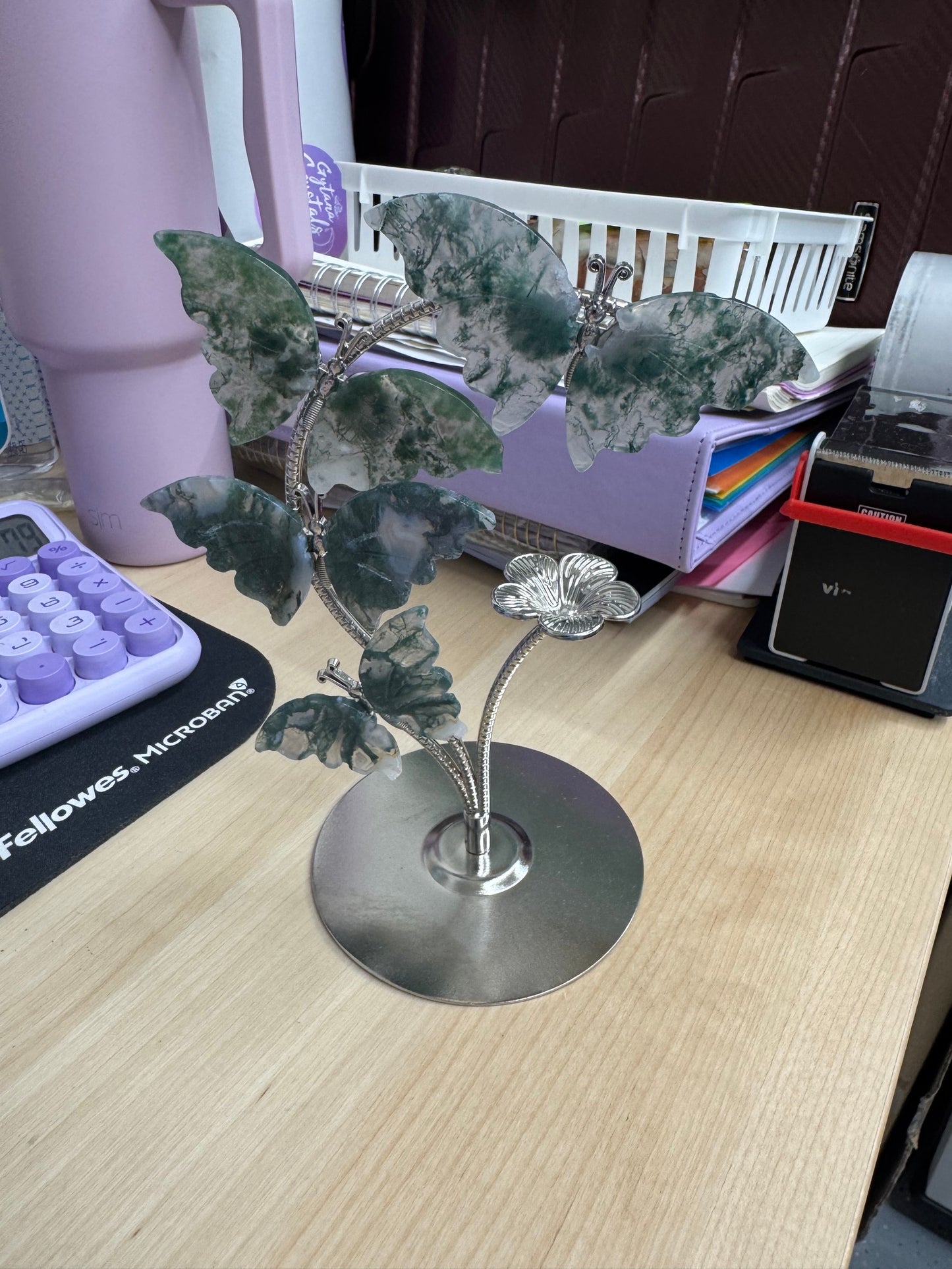 hollybean78