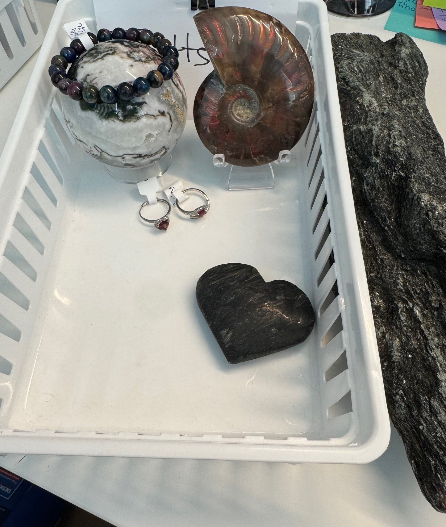 tpottsrocks