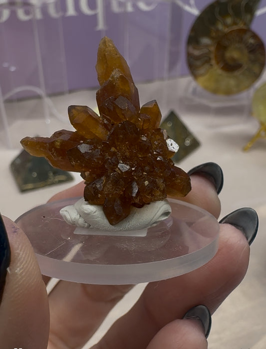 Aurorallccrystals