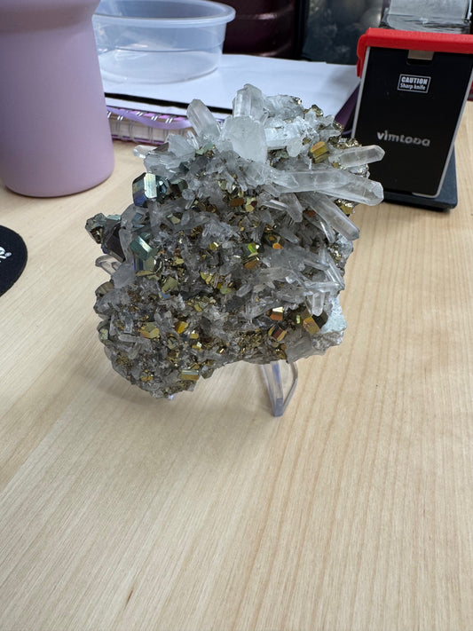 aliceperkins (statement) 4 of 4