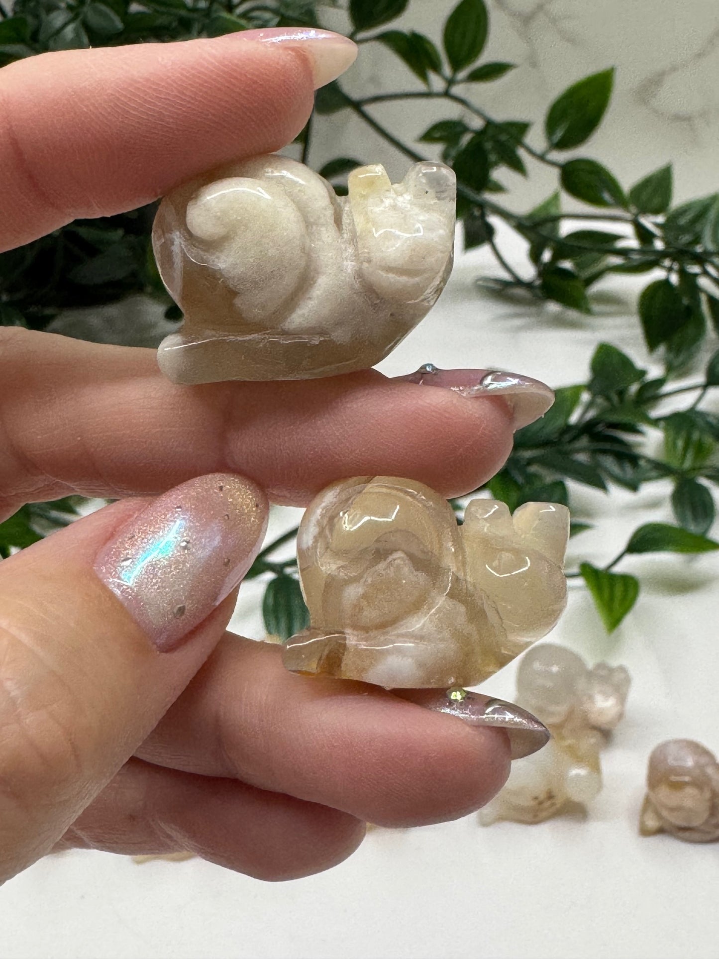 Flower Agate Mini Snail