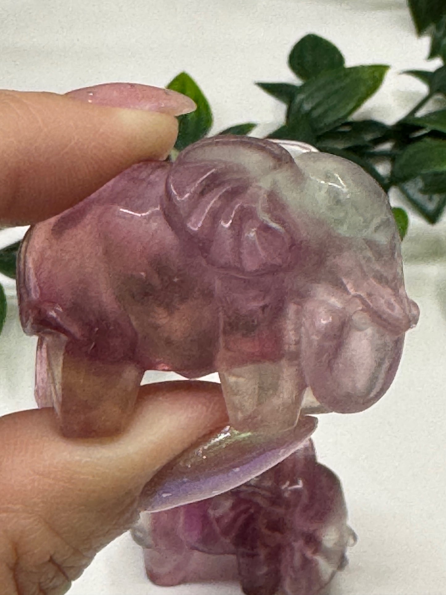 Fluorite Elephants