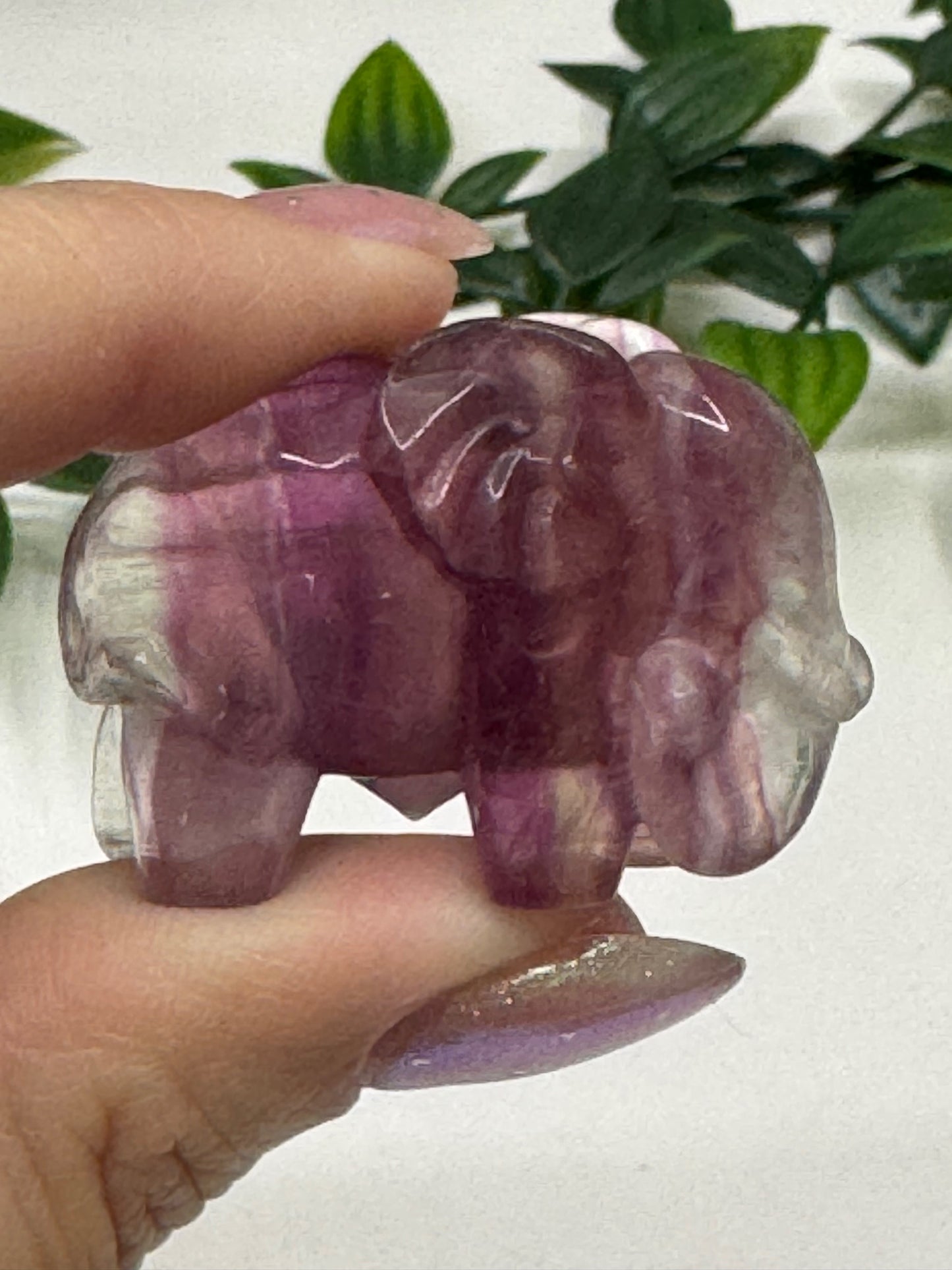 Fluorite Elephants