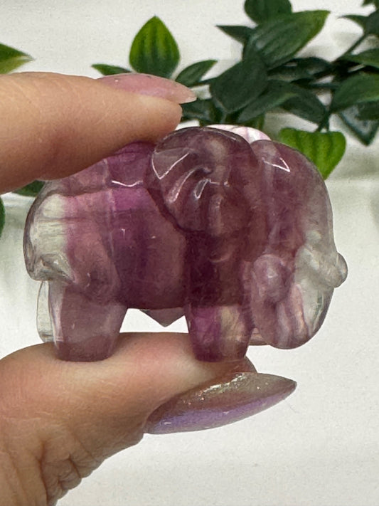 Fluorite Elephants