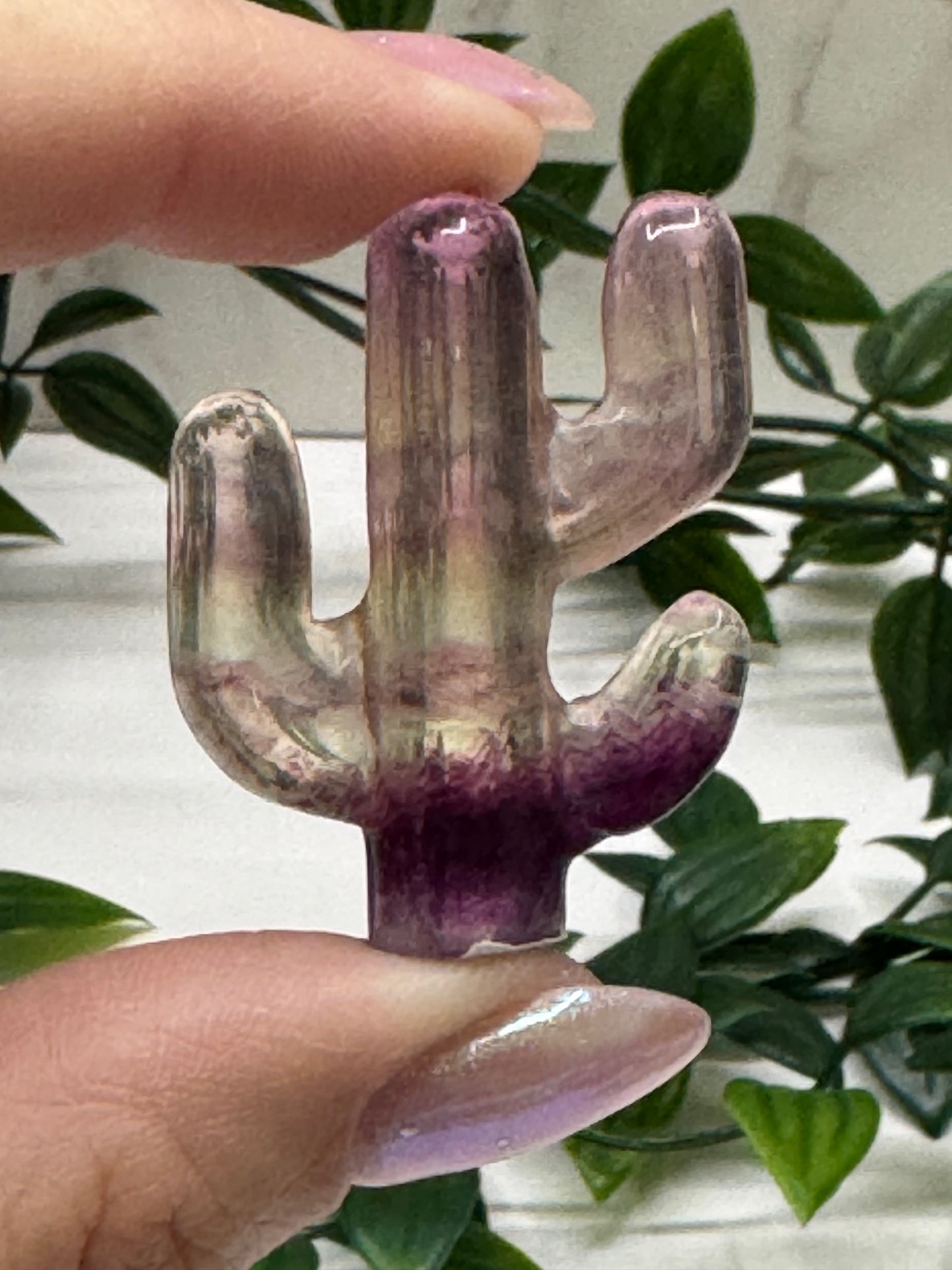 Fluorite Cactus