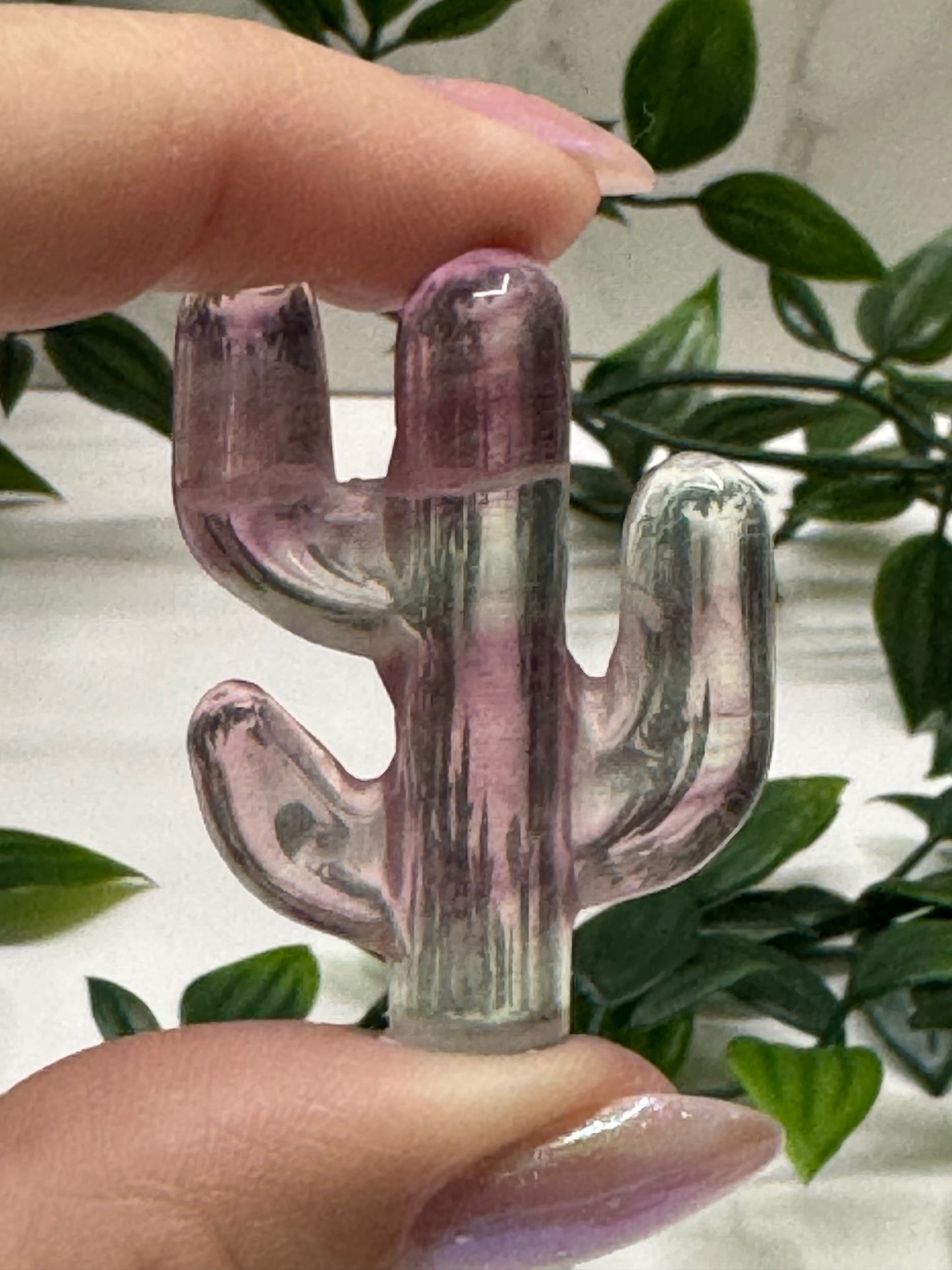 Fluorite Cactus