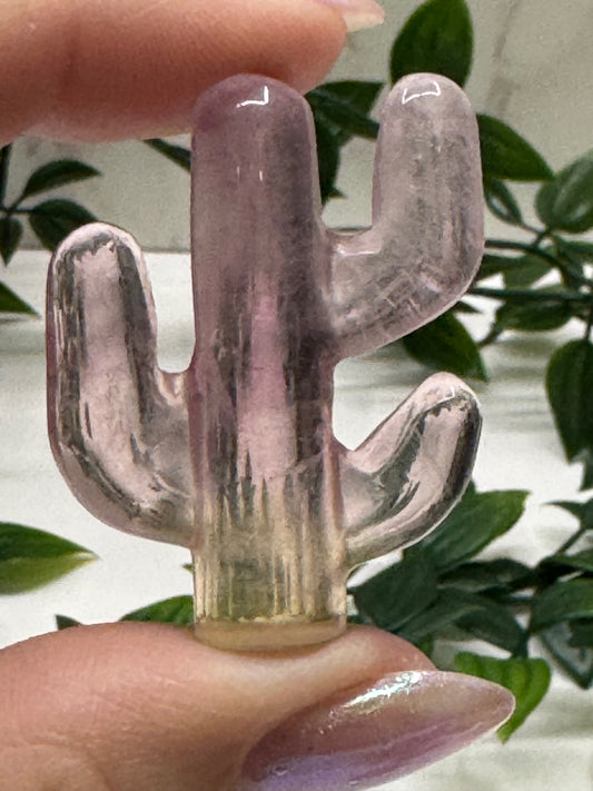 Fluorite Cactus