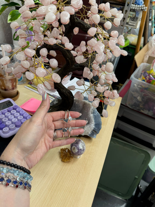 Belle Nail Bar 1 of 2