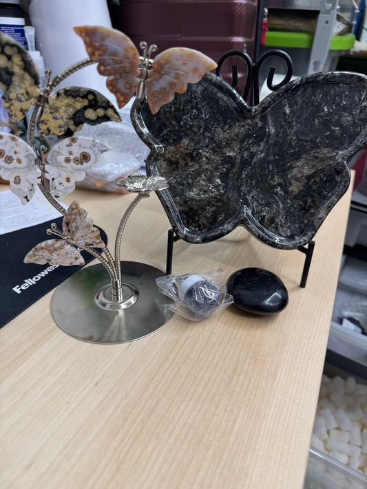 liiiizzzzcan2