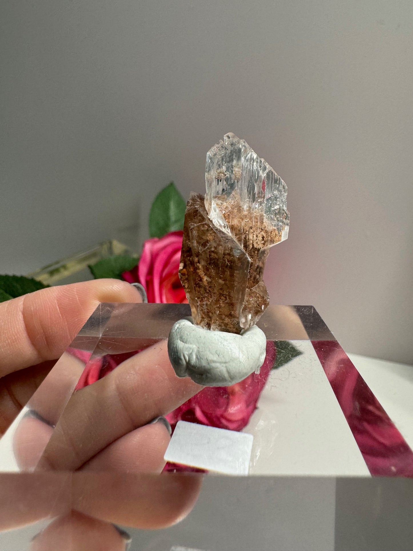 New Selenite "Garden Selenite"